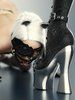 Bad kitty by tales of pleasure